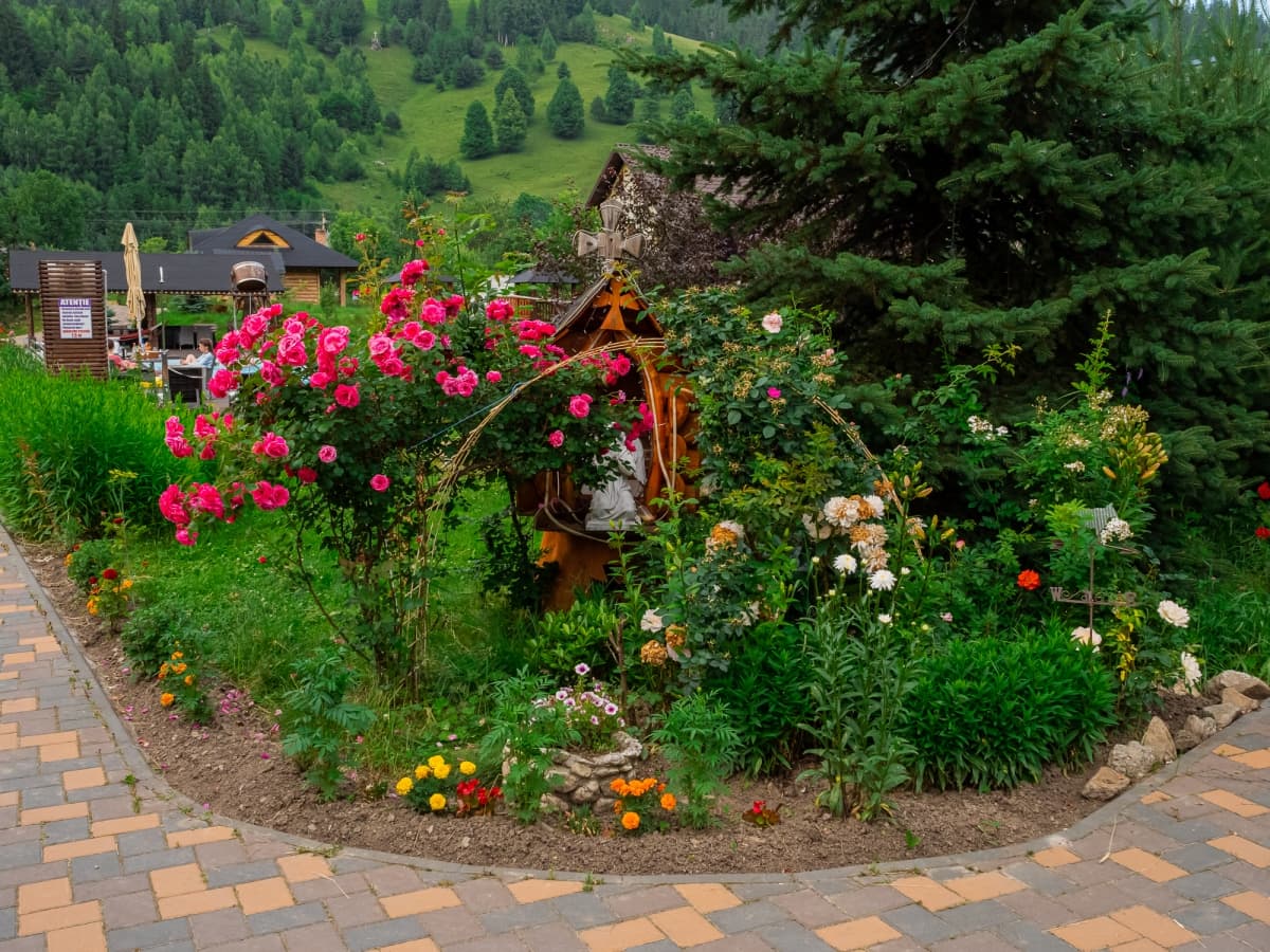 Fotografie de Cornel Marian la Casa Baciu