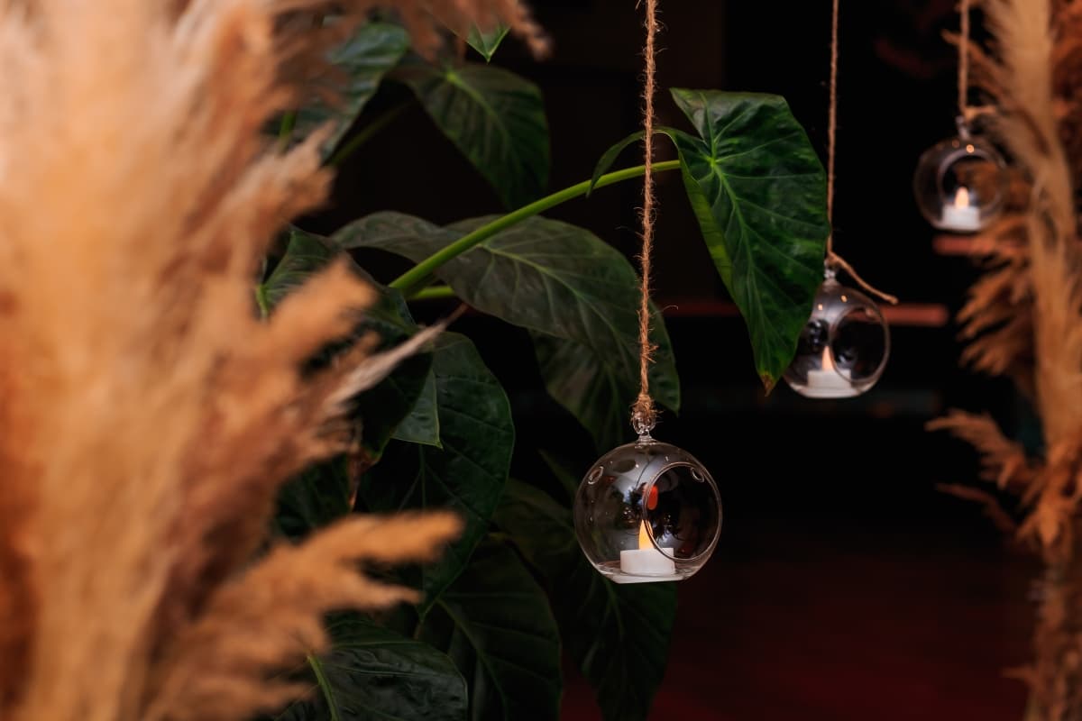 Fotografie de Daniel V. Dumitrache  la Hotel Posada