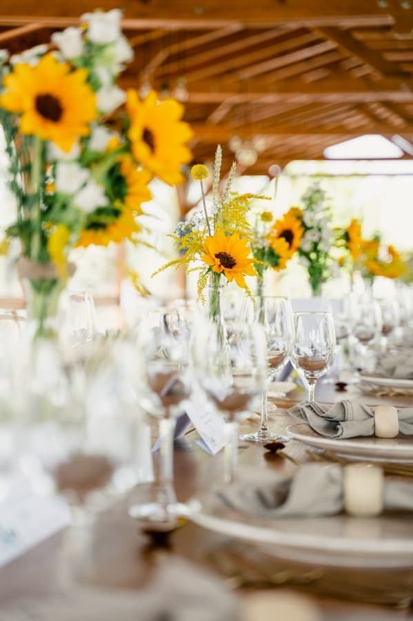 Blissful Garden - locatie pentru nunti in Comana, Giurgiu