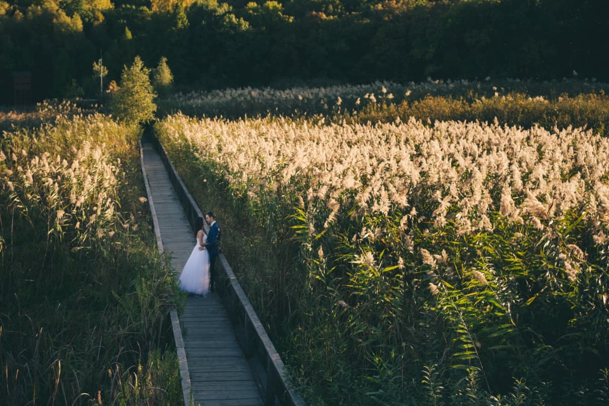 Fotografie de Moments by Ioana Stavar la Parcul Natural Comana