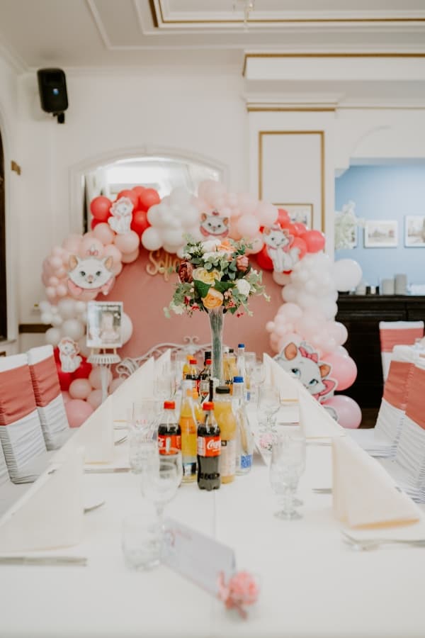 Hotel Belvedere - locatie pentru nunti in Botoșani, Botoșani