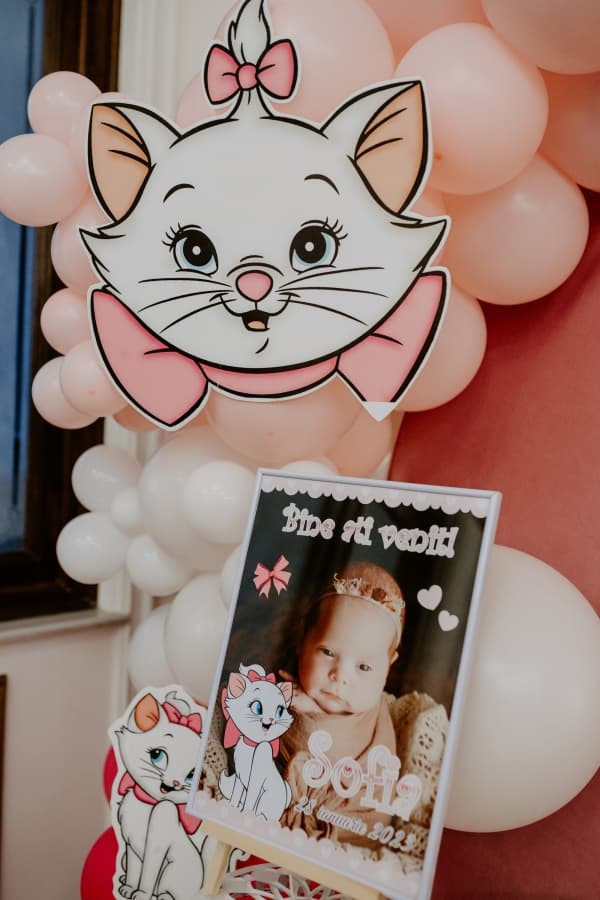 Fotografie de Sebastian Purusniuc Fotograf la Hotel Belvedere