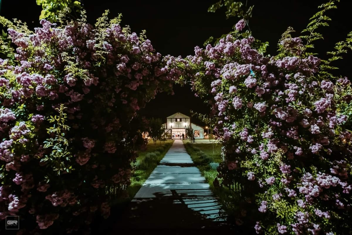 Fotografie de Gabriel Rusu - Fotografie la Artist - The Barn