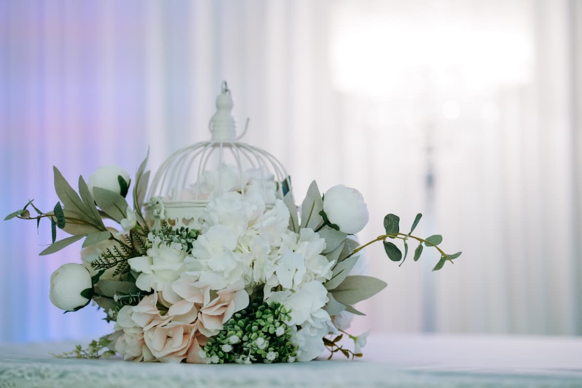 Fotografie de TheMoonlight la Terasa Mark