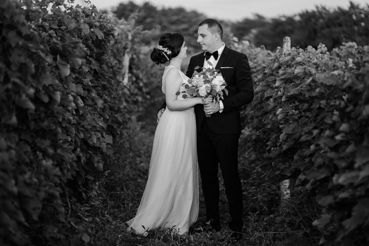 Fotografie de TheMoonlight la Pensiune Di Angello