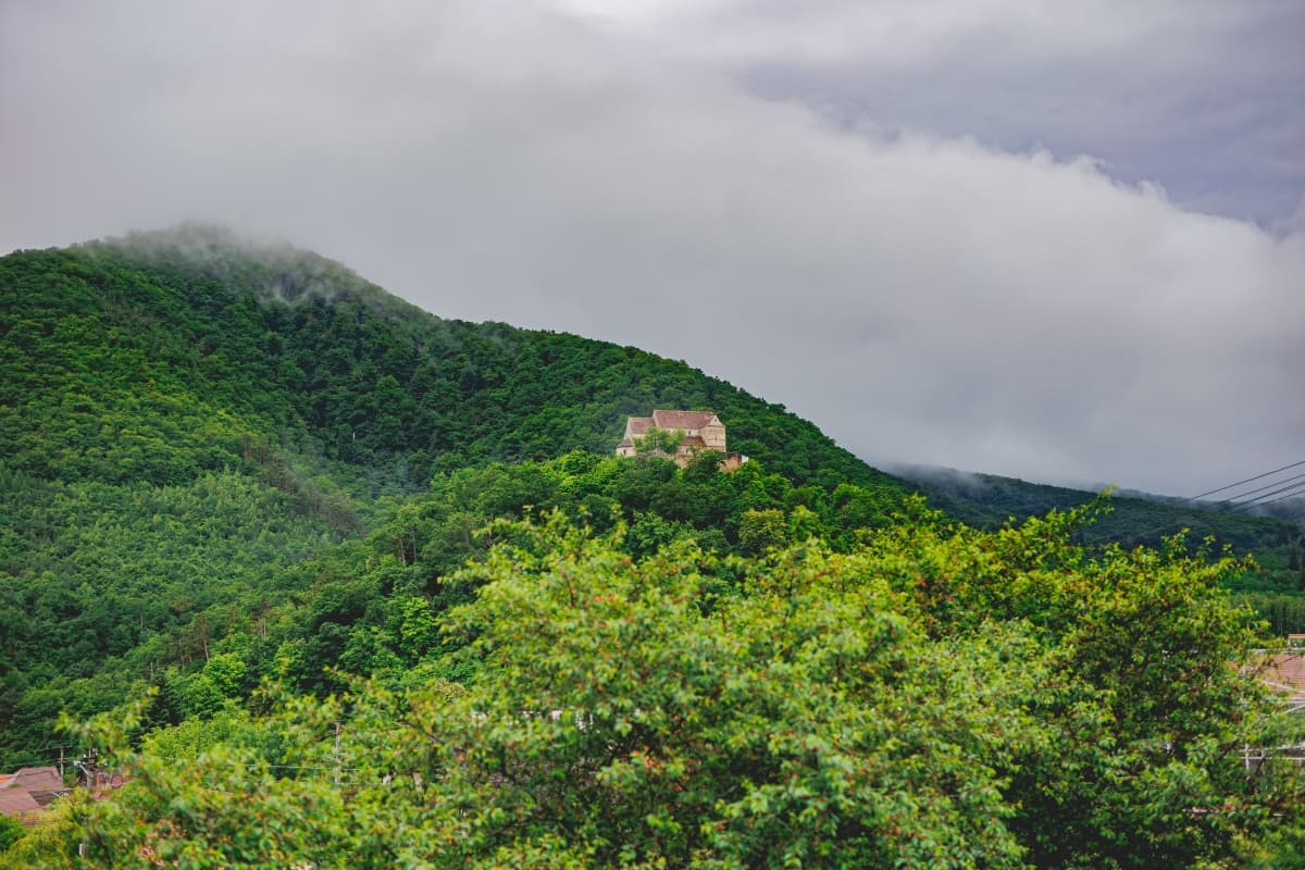 Fotografie de Your Story la Casa Elimheim