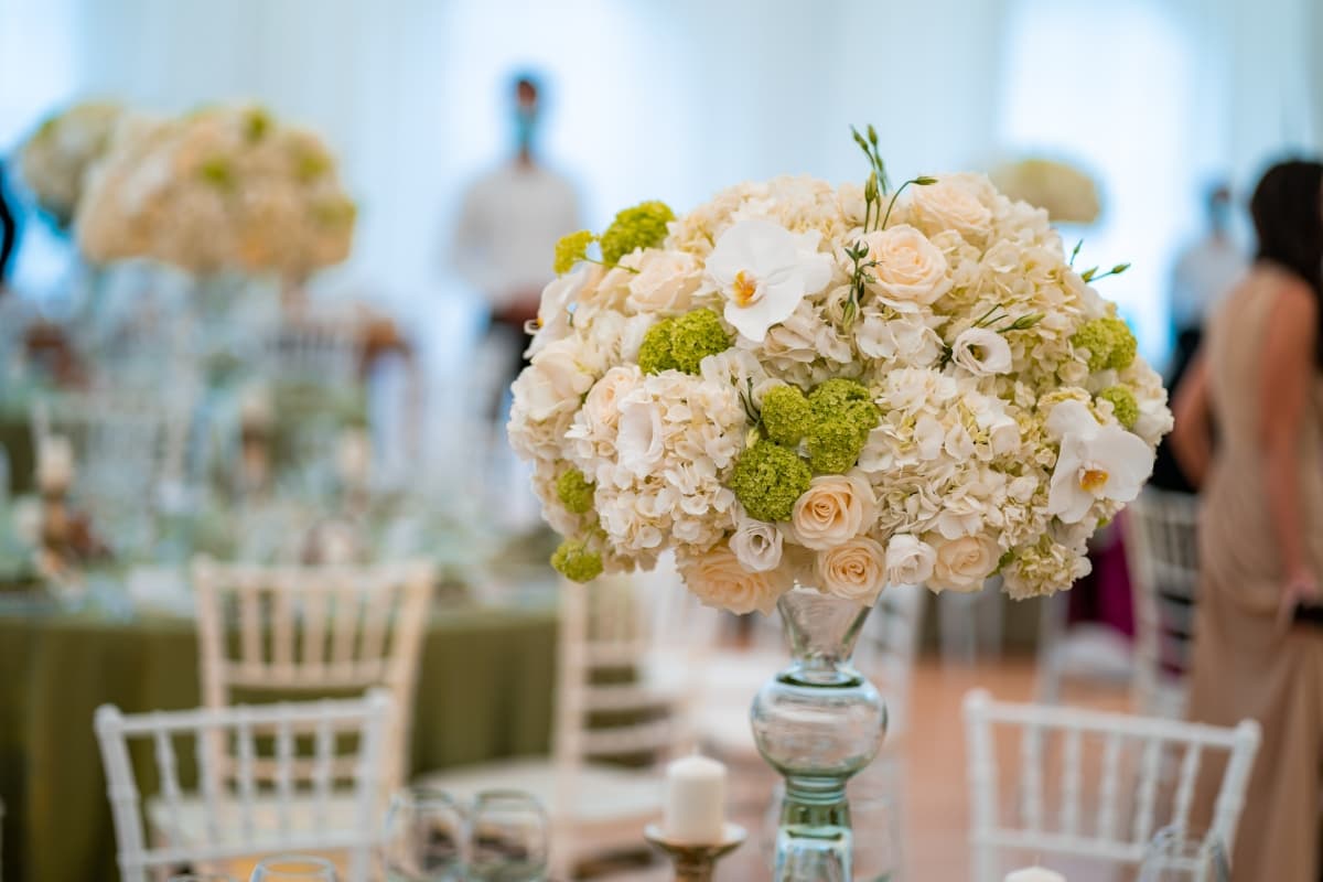 Fotografie de Andrei Roman Fotograf la Domeniul Stirbey