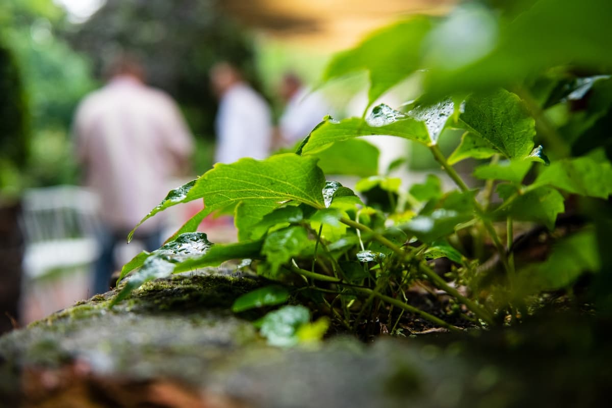 Fotografie de Andrei Roman Fotograf la Pensiunea Poesis