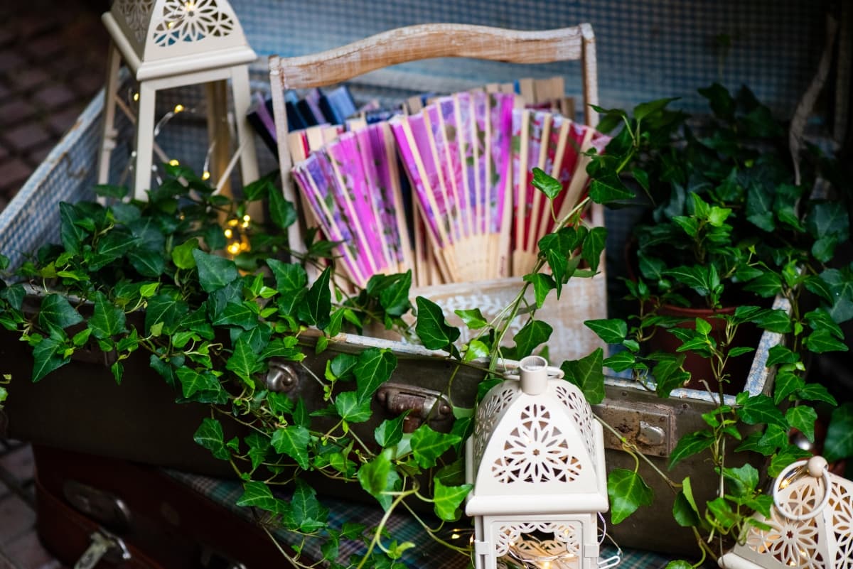 Fotografie de Andrei Roman Fotograf la Pensiunea Poesis