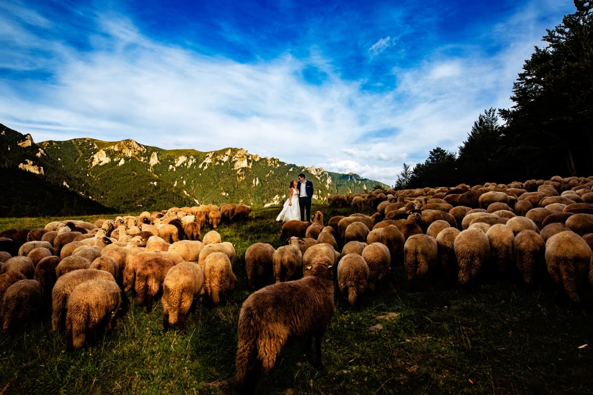 Fotografie de Stefan Droasca Fotograf la Muntele Rosu