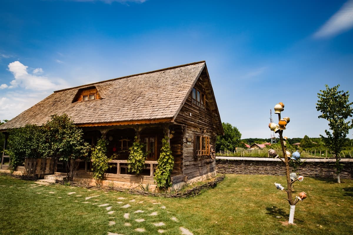 Fotografie de Stefan Droasca Fotograf la Gradina Vlahiia