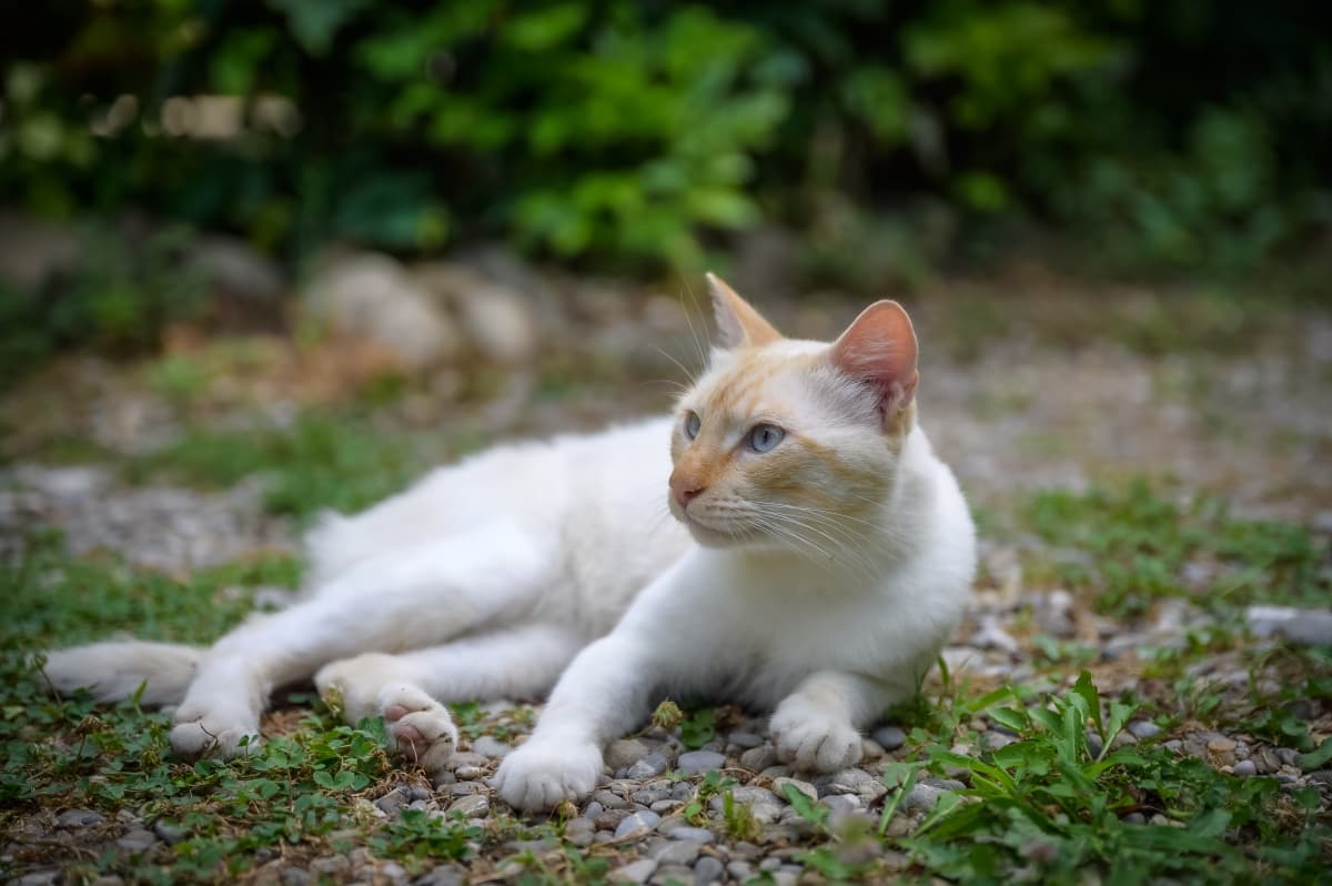 Fotografie de Mihai Gheorghe la Conacul Serghiescu