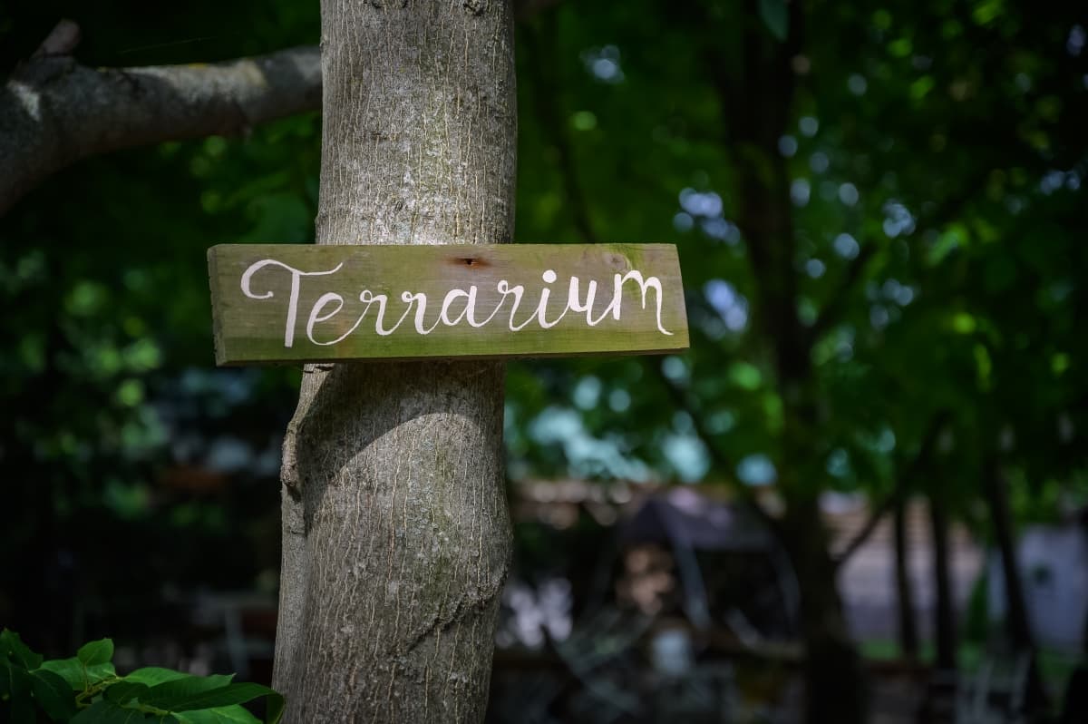 Fotografie de Mihai Gheorghe la Conacul Serghiescu