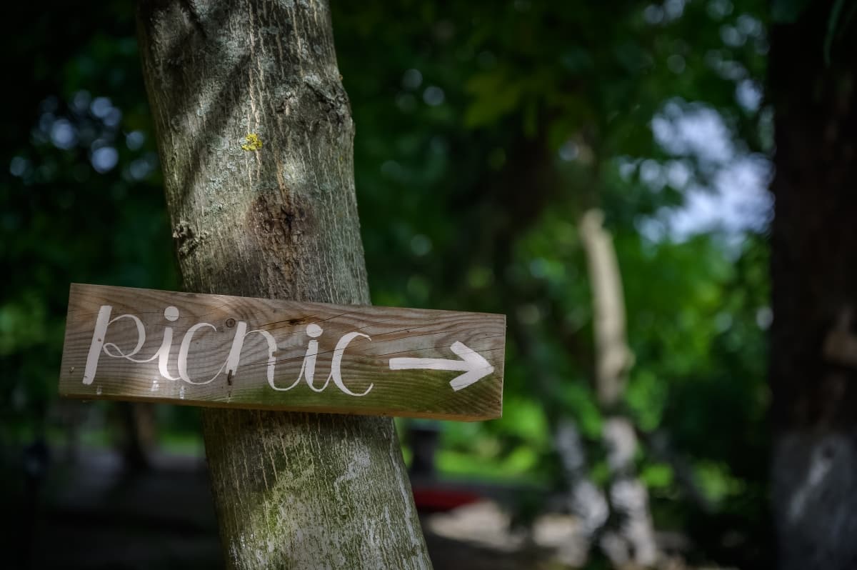 Fotografie de Mihai Gheorghe la Conacul Serghiescu