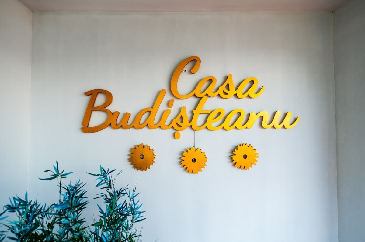 Fotografie de Catalin Chiriac la Casa Budisteanu