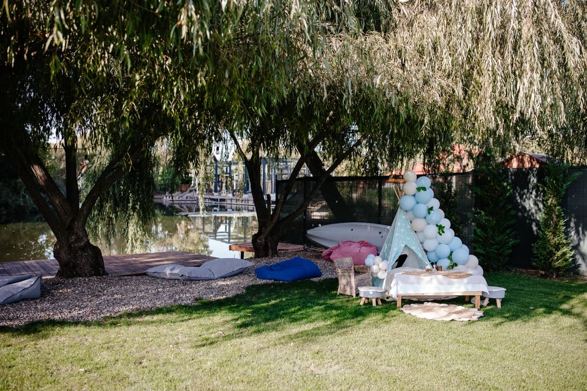 Fotografie de Cristian Branescu Photography la Sura cu nuferi