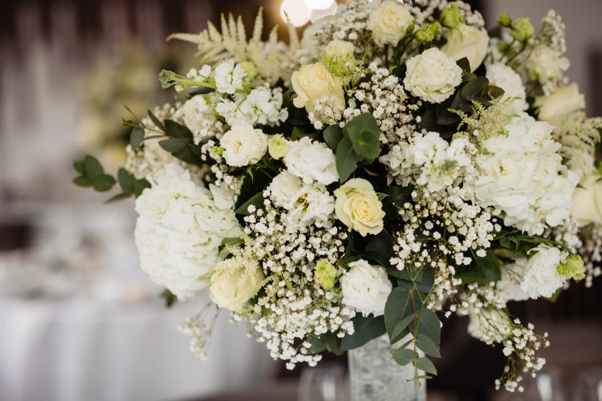 Fotografie de Stefan Droasca Fotograf la Hotel Piscul Negru