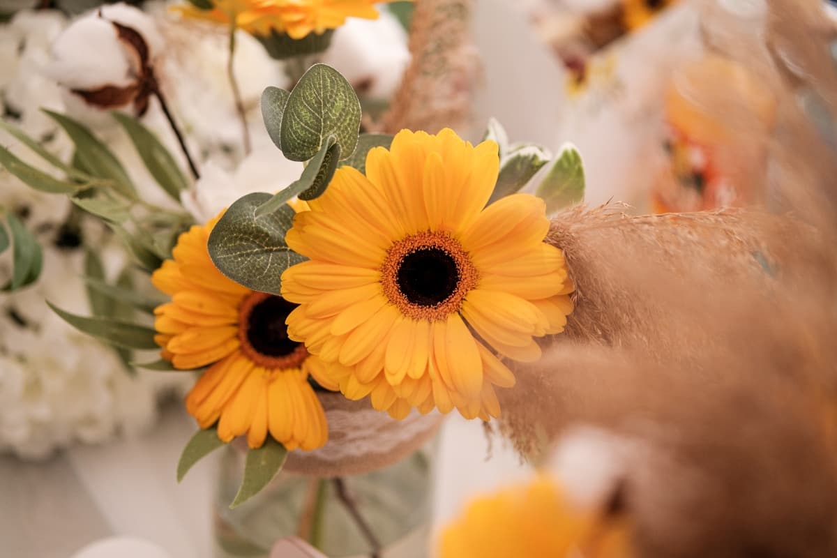 La Anne - locatie pentru nunti in Dărmănești, Bacău