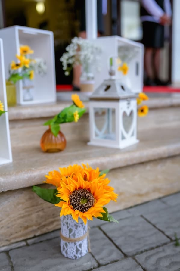 Montana Popa - locatie pentru nunti in Blaj, Alba