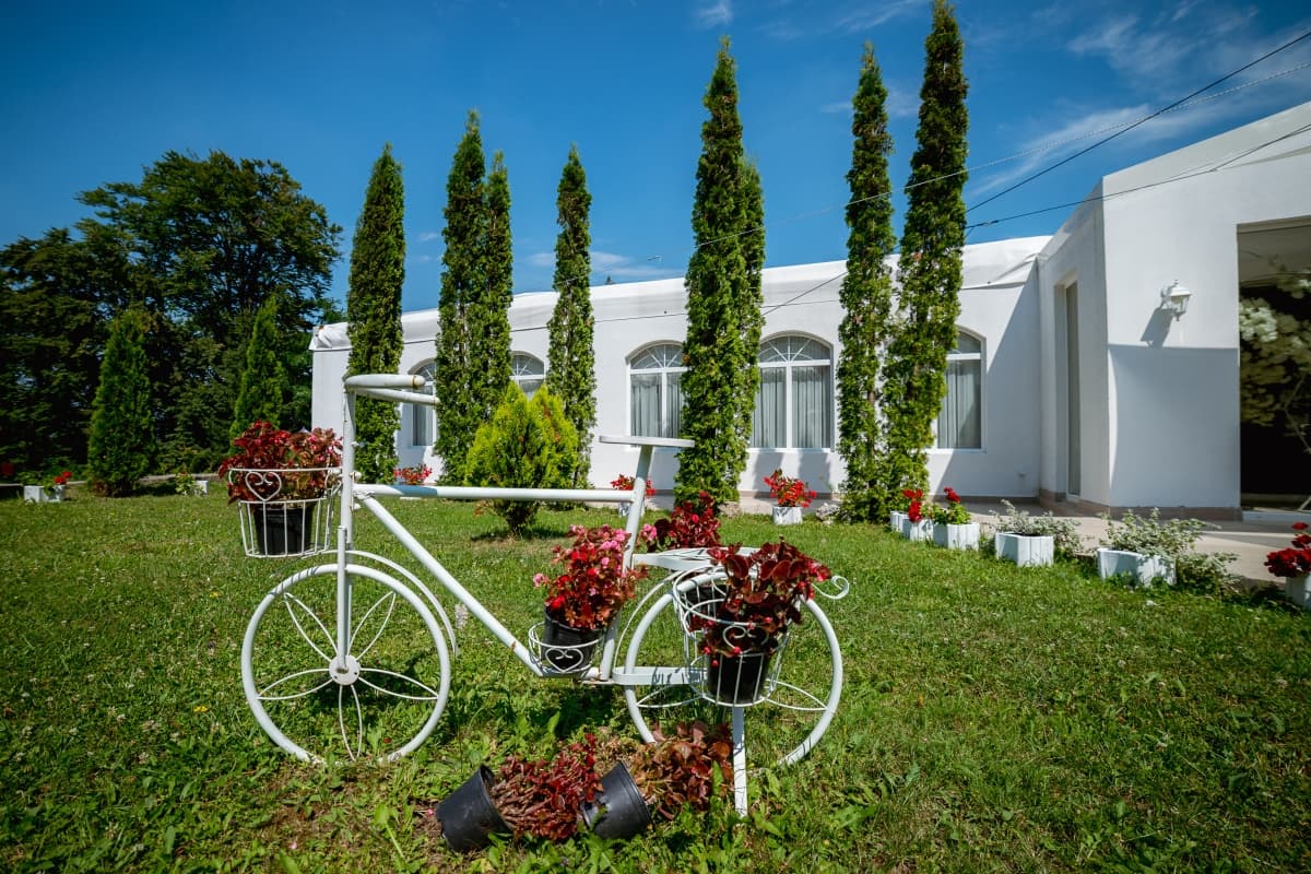 Fotografie de Răzvan Dale la Pensiunea Serena