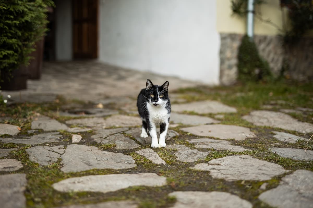 Fotografie de Your Story la Pensiunea Casa Bunicilor