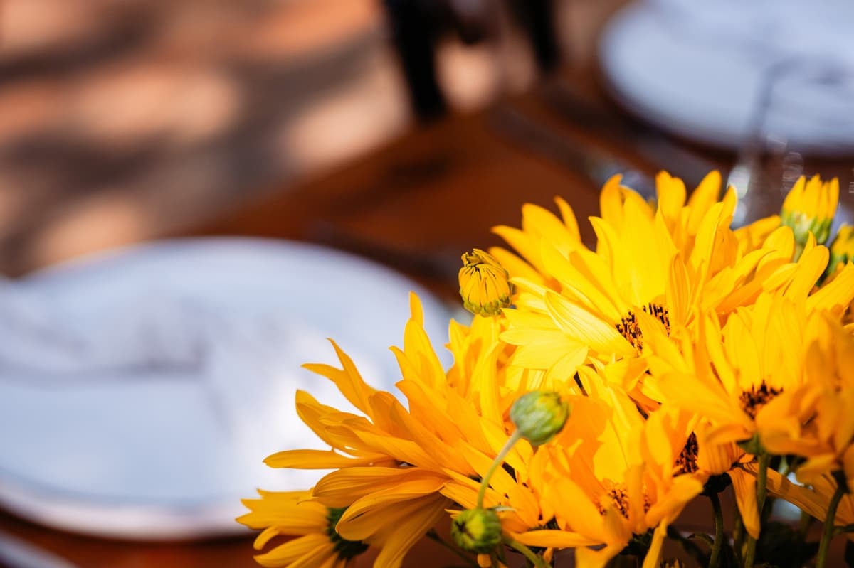 Fotografie de Digitalpromedia la Hargot Estate