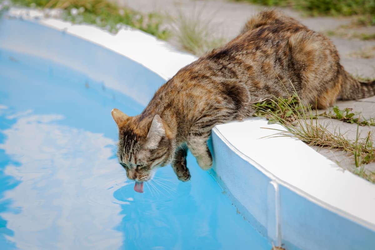 Fotografie de ZOOMER STUDIO la The Meeting Point