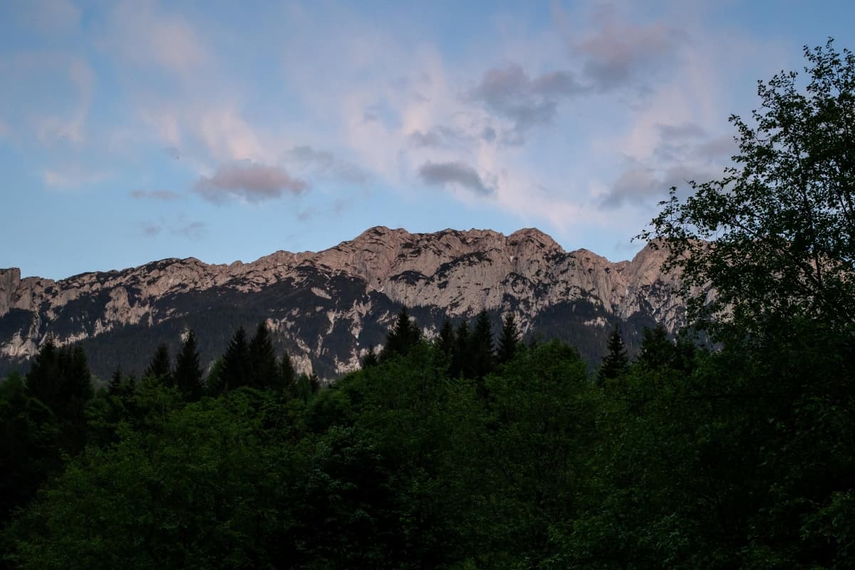 Fotografie de Dogaru Florin la Cabana Dianthus