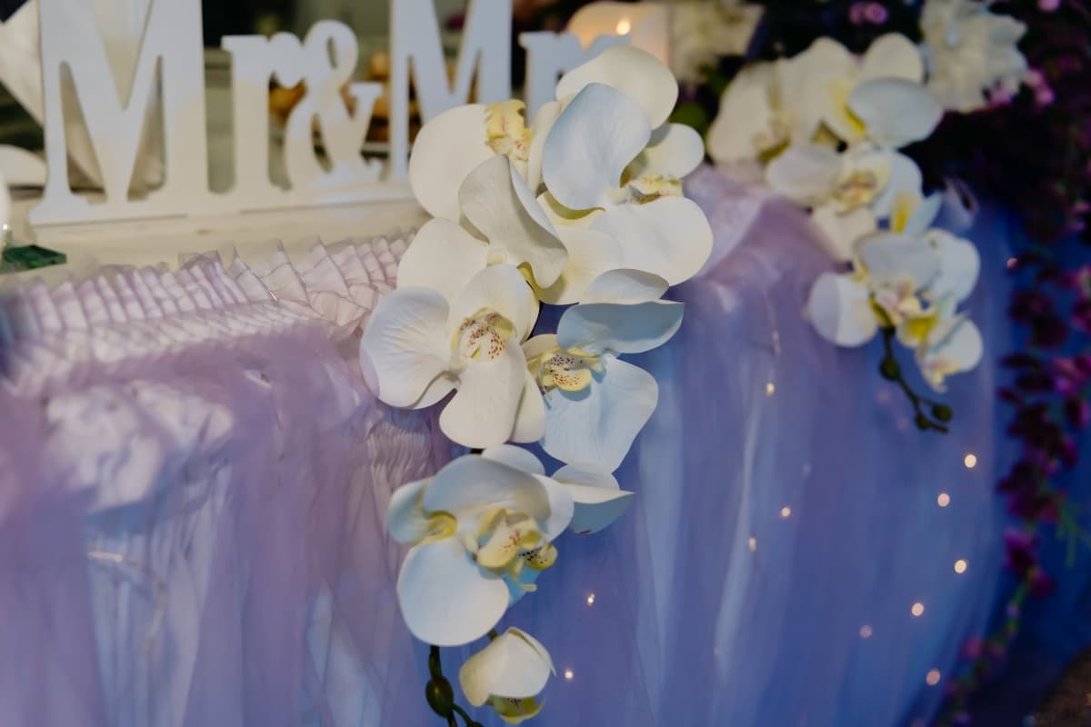 Fotografie de Atelierul Irinei Studio la Amiro Events