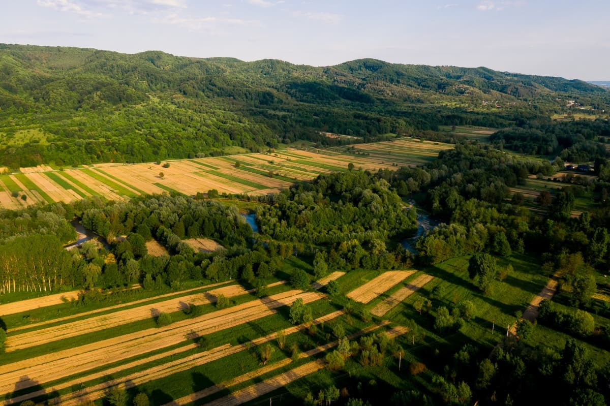 Salon Evenimente Cristian - locatie pentru nunti in Retevoiești, Argeș