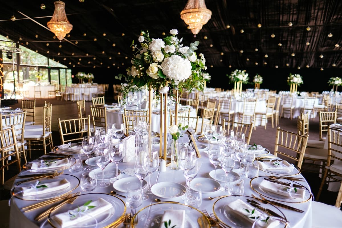 Fotografie de Vision Photography By Geo Dolofan la Padurile Regale