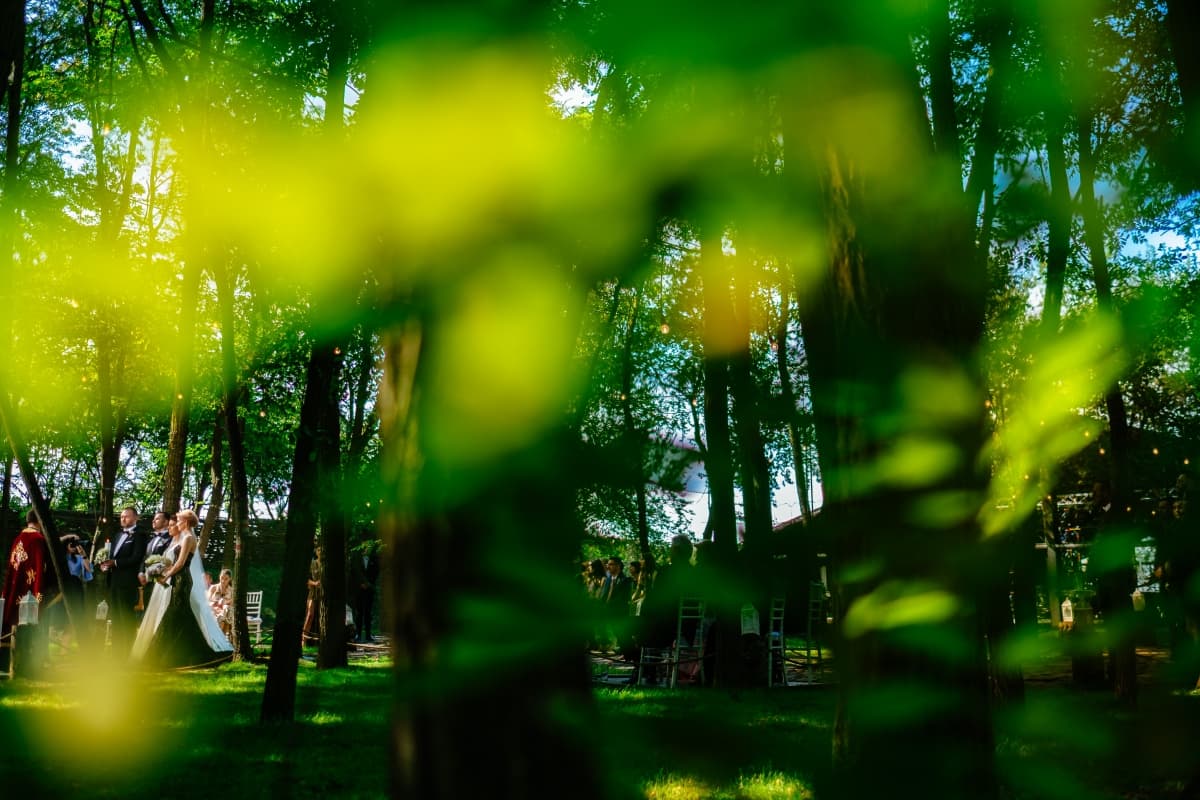 Fotografie de Vision Photography By Geo Dolofan la Padurile Regale