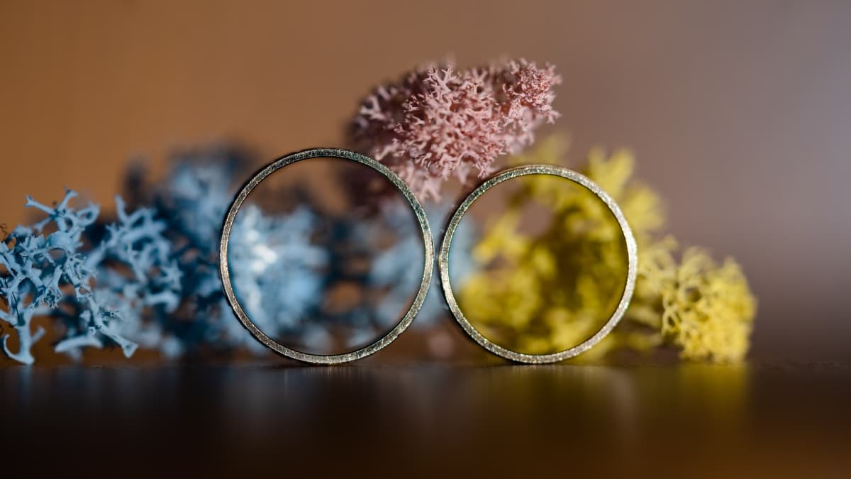 Fotografie de Zaman Alexandru-Denis la Nova Imperial