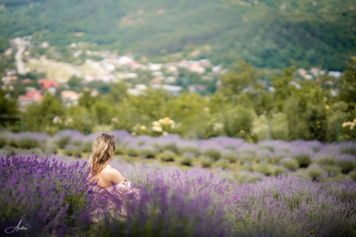 Fotografie de Raw Studio la Hanul Cu Lavanda