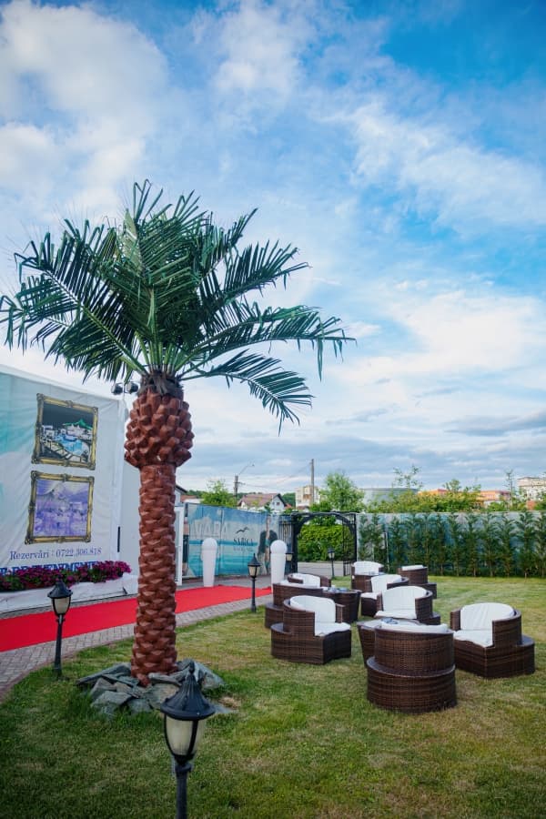 Fotografie de Ema &amp; Gabriel Voicu la Restaurant Magic GT 