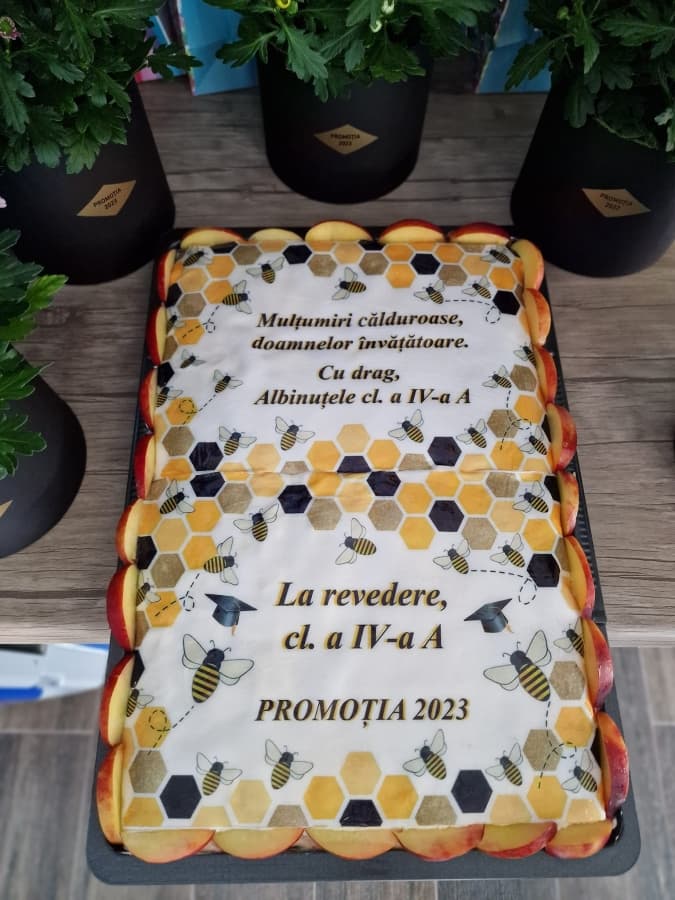 Conacul Anastasiei  - Vedere de ansamblu a locației pentru nunți