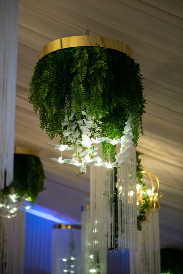 Fotografie de TILO la Reina Events North