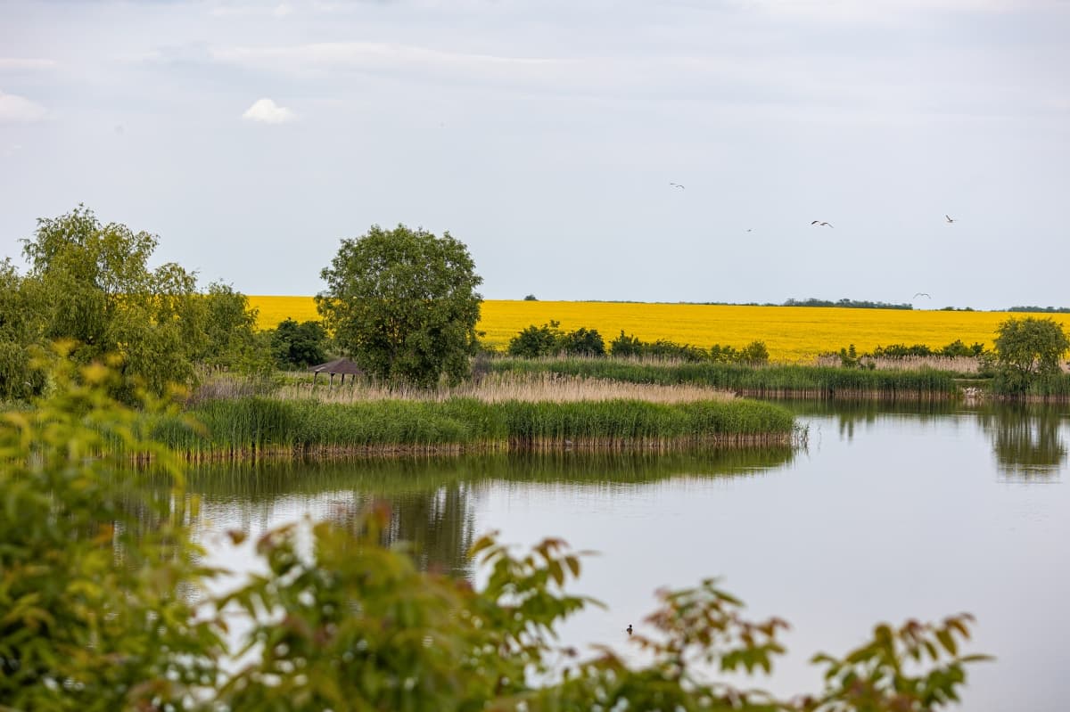 Fotografie de Your Story la Memories of the Lake