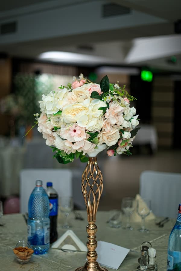 Fotografie de Ema &amp; Gabriel Voicu la Crystal Palace Forest