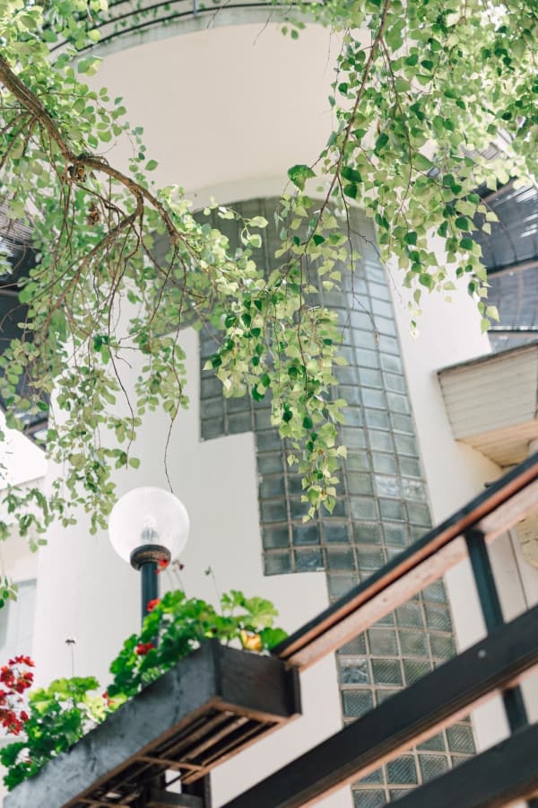 Fotografie de Picturesque Life Stories la Club Cortina - Cortina Garden