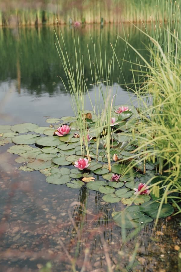 Fotografie de Picturesque Life Stories la Valea Verde Retreat