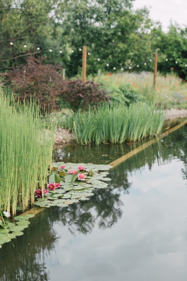 Fotografie de Picturesque Life Stories la Valea Verde Retreat