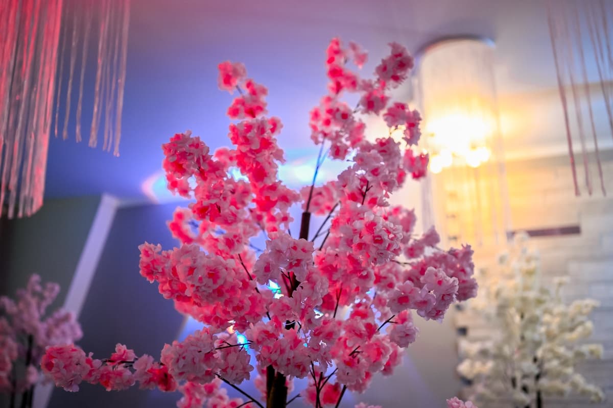 Fotografie de Oanca Ionut la Restaurant Diamond