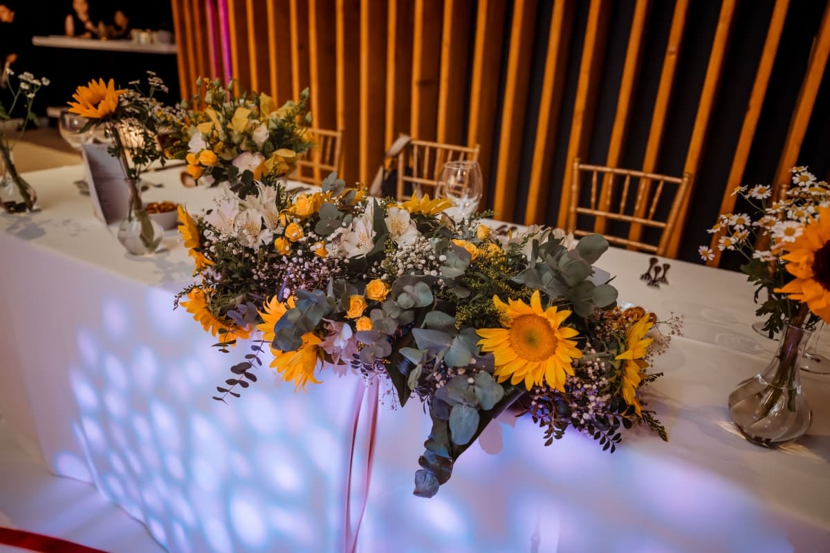 Fotografie de Gabriel Rusu - Fotografie la Terra Events Hall