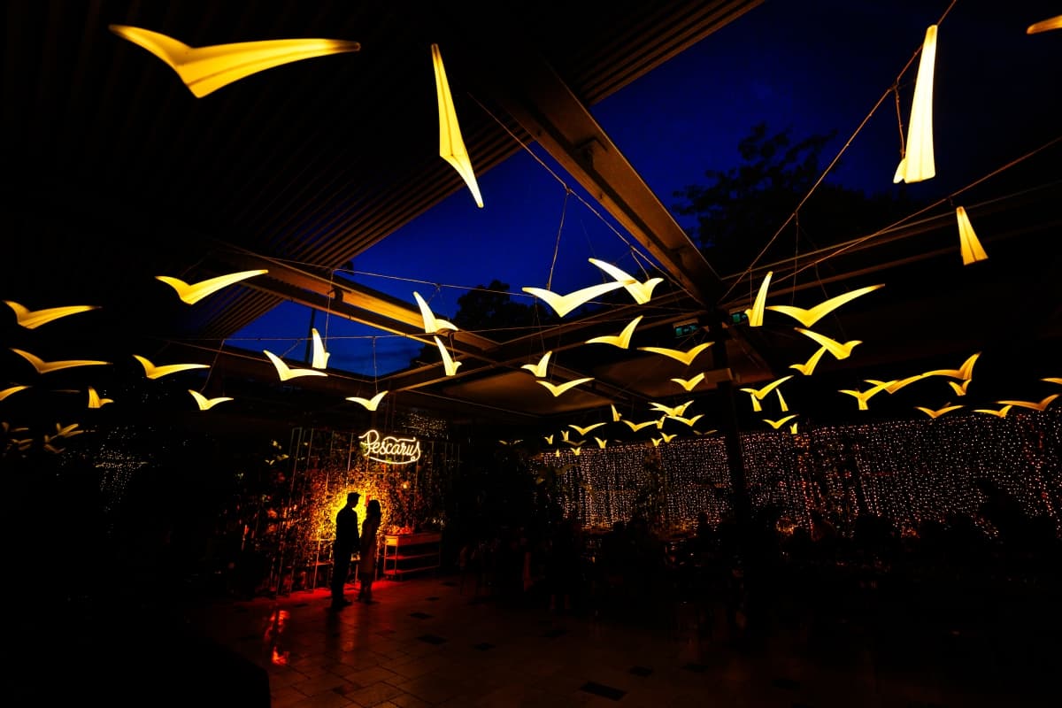 Fotografie de AlexBogdanFoto la Restaurant Pescarus