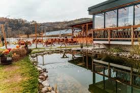 Fotografie de Sabin Florin la Ecvestria Ranch