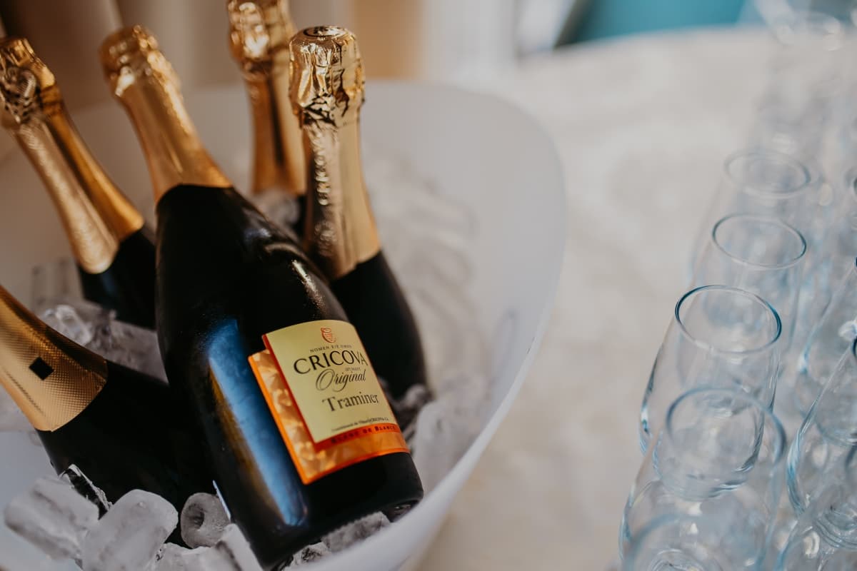 Fotografie de Andrei Chirica - Raian Fine Arts la Cort Lake Hall - Golden Stone Resort