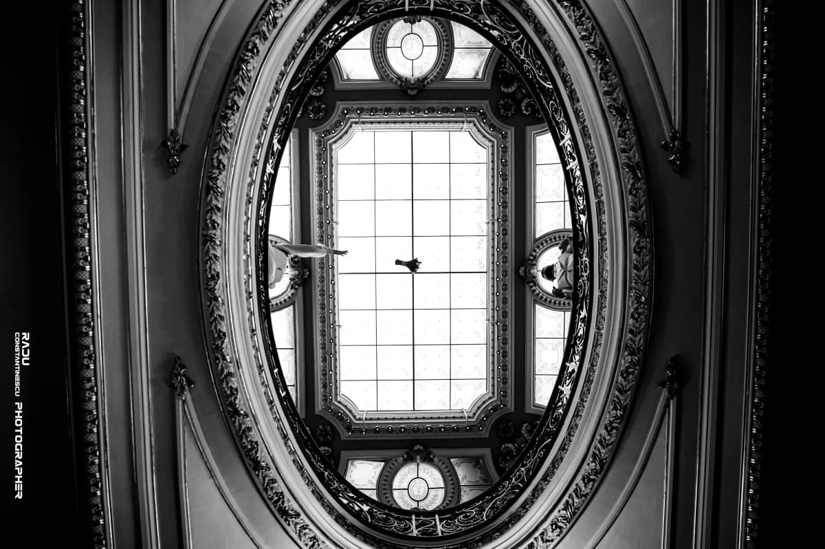 Fotografie de Radu Constantinescu Fotograf la Muzeul de Arta