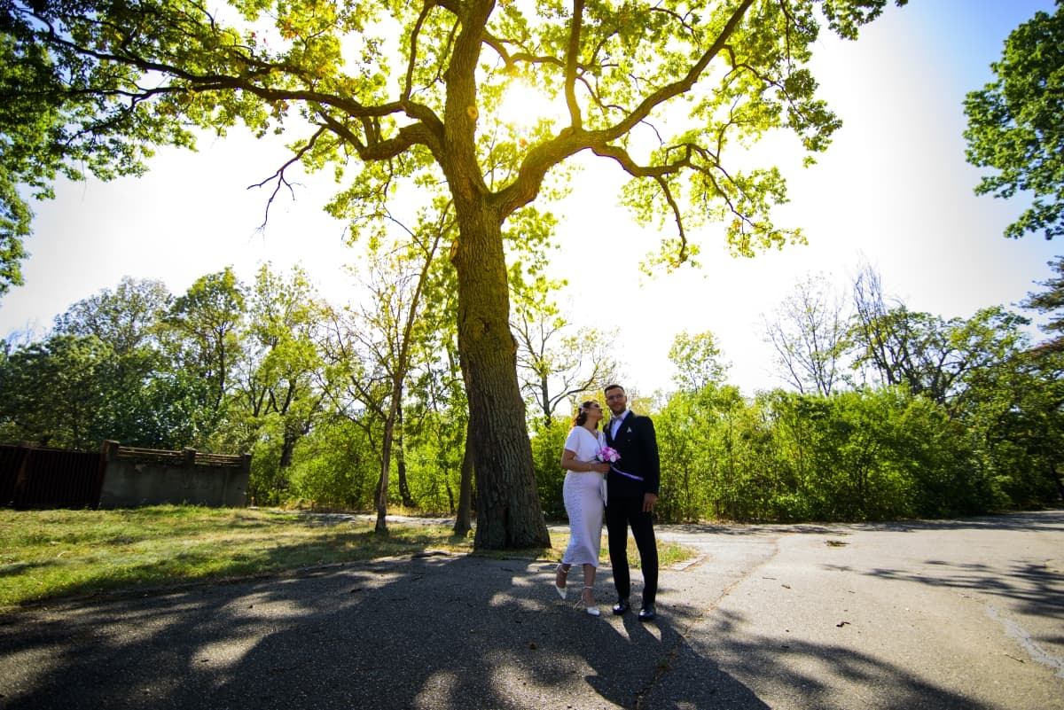 Parcul Crang - locatie pentru nunti in Buzău, Buzău