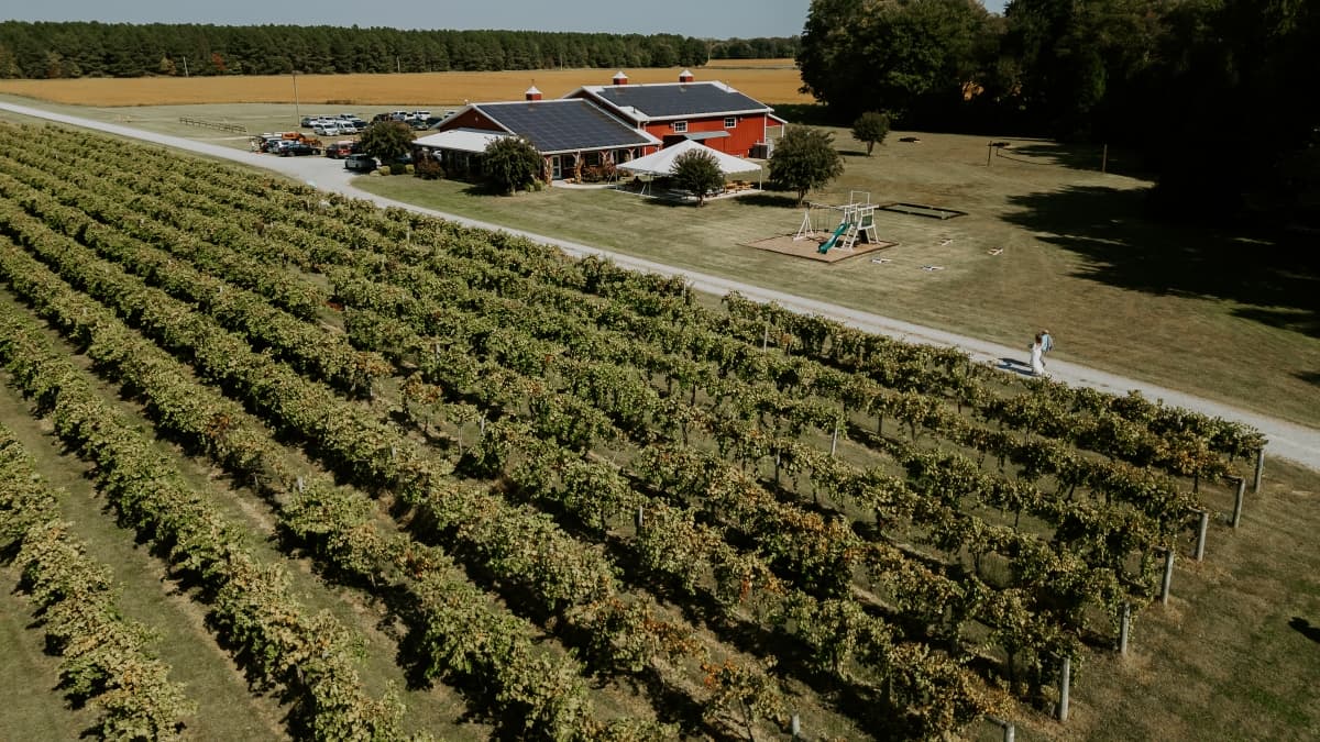 Fotografie de Szilágyi Szilárd la Layton's Chance Vineyard and Winery